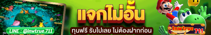 ผู้สนับสนุน